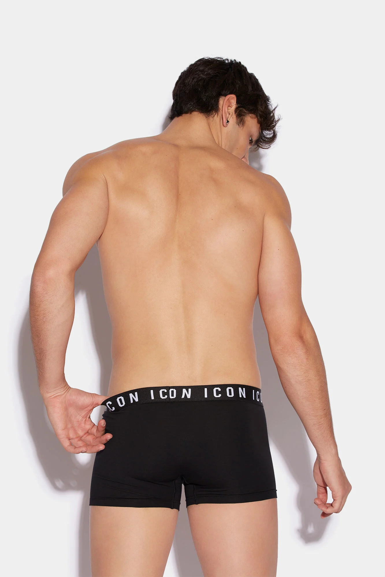 Icon Trunk