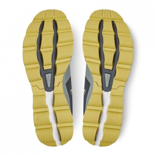 surfer 3.0 Eucalyptus Citron