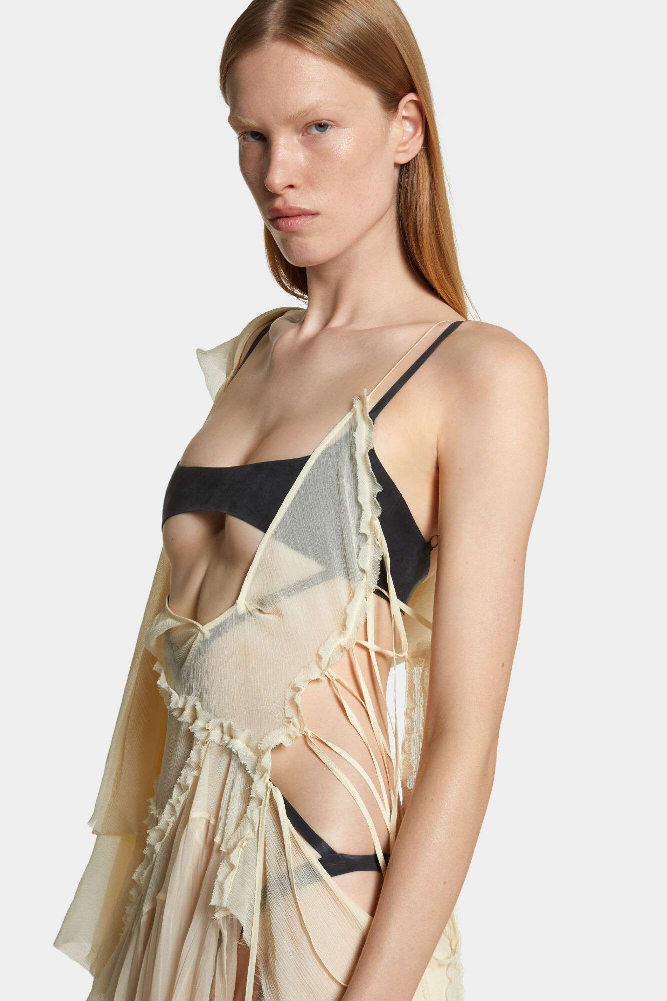 Delicate Sheer Dress