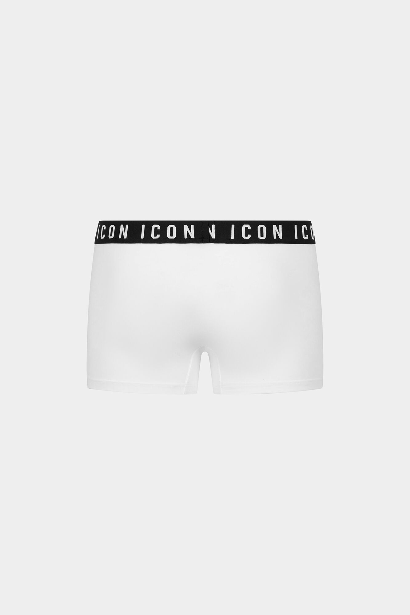 Icon Trunk
