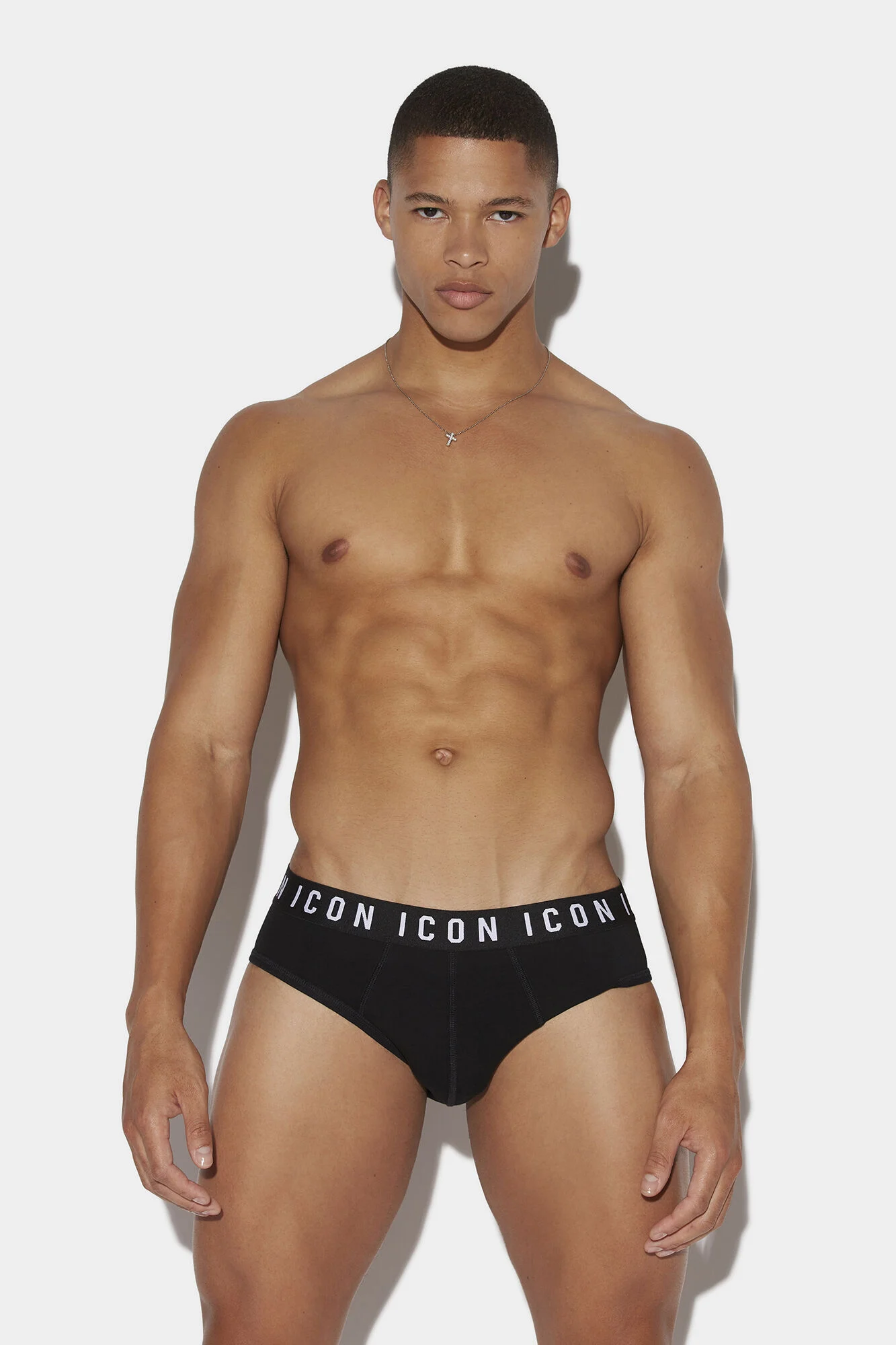 Icon Brief