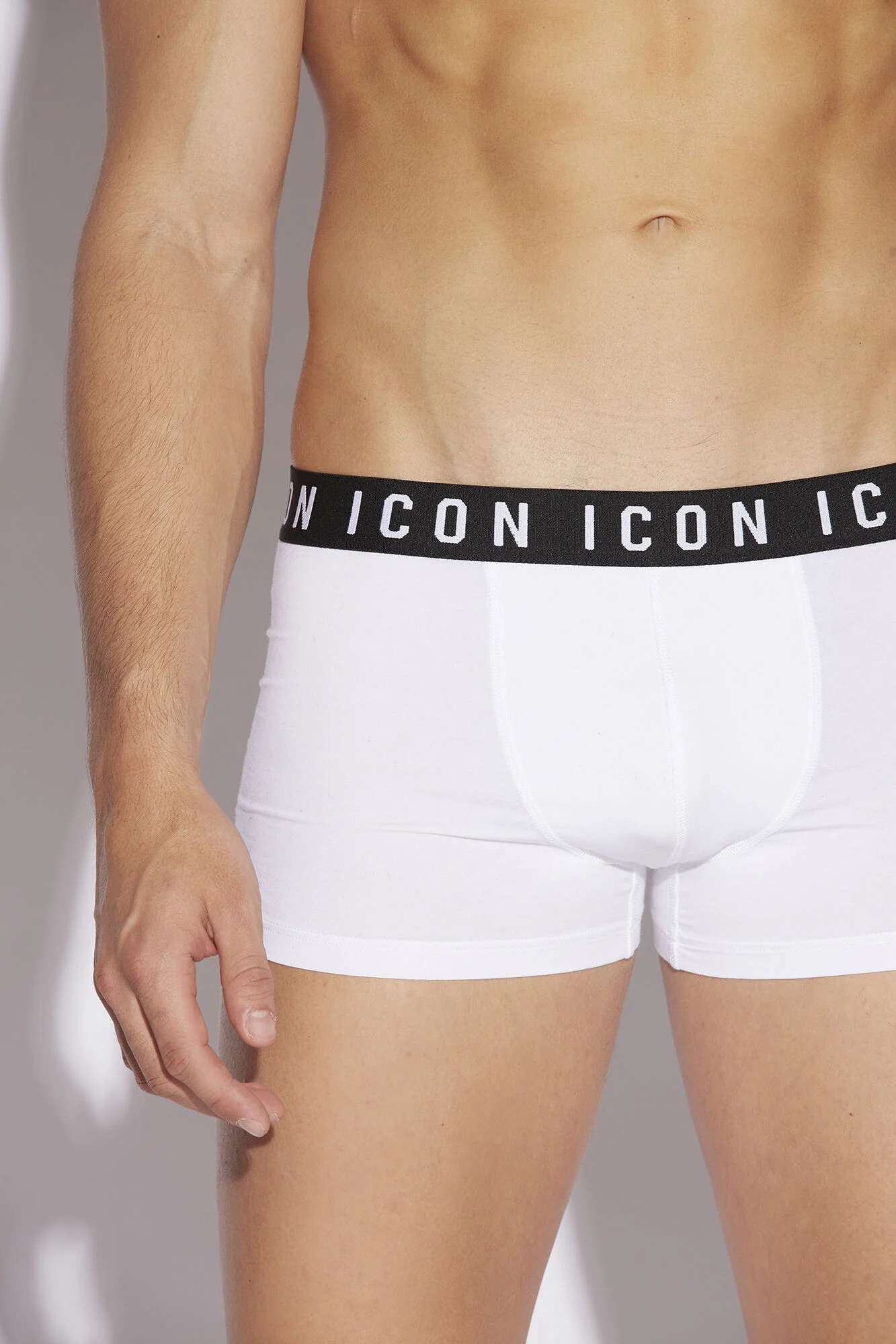 Icon Trunk