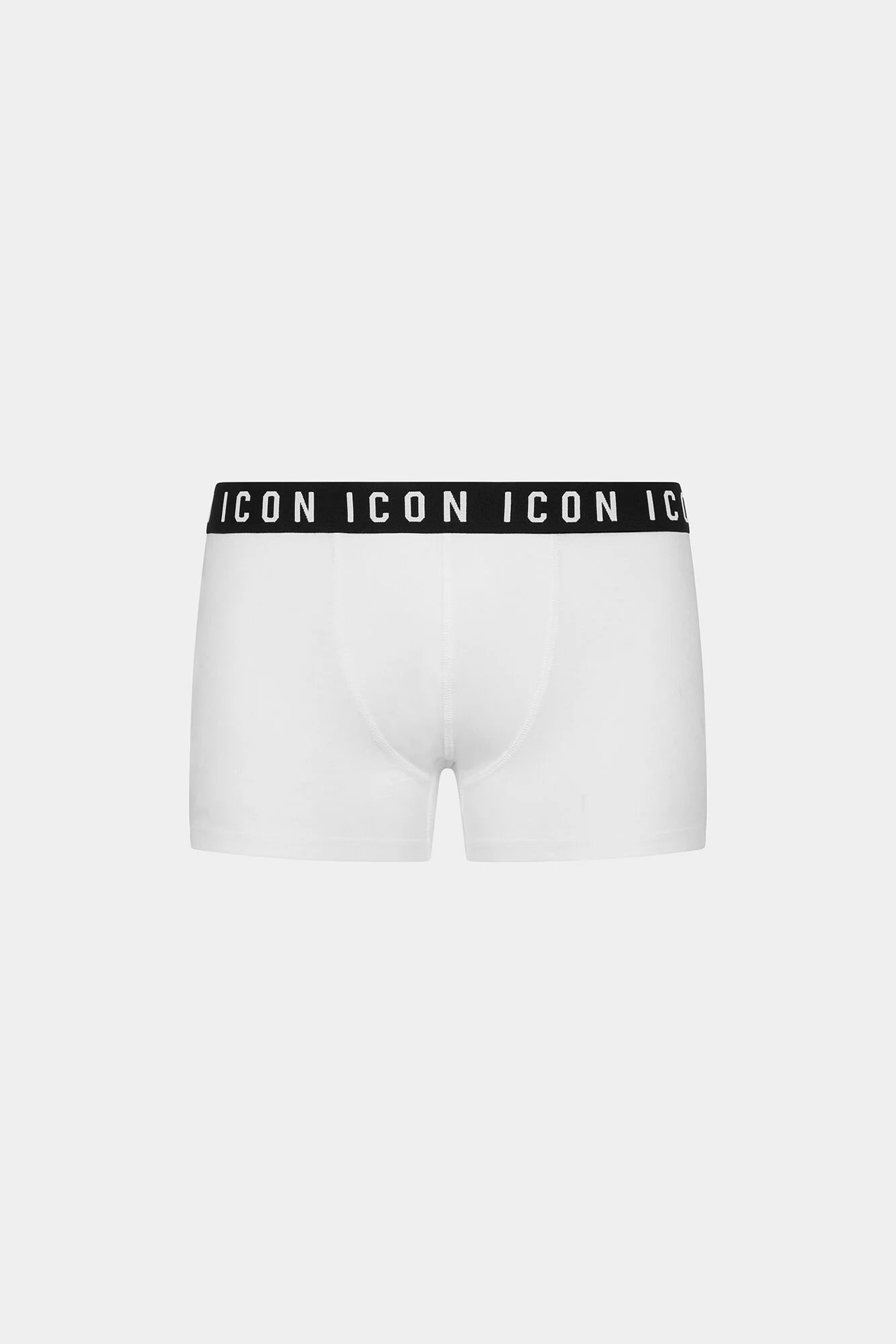 Icon Trunk