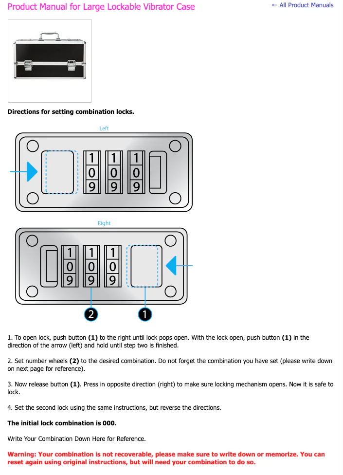 The Toy Chest - Lockable Vibrator Case