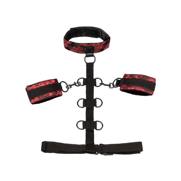 Scandal Collar Body Restraint